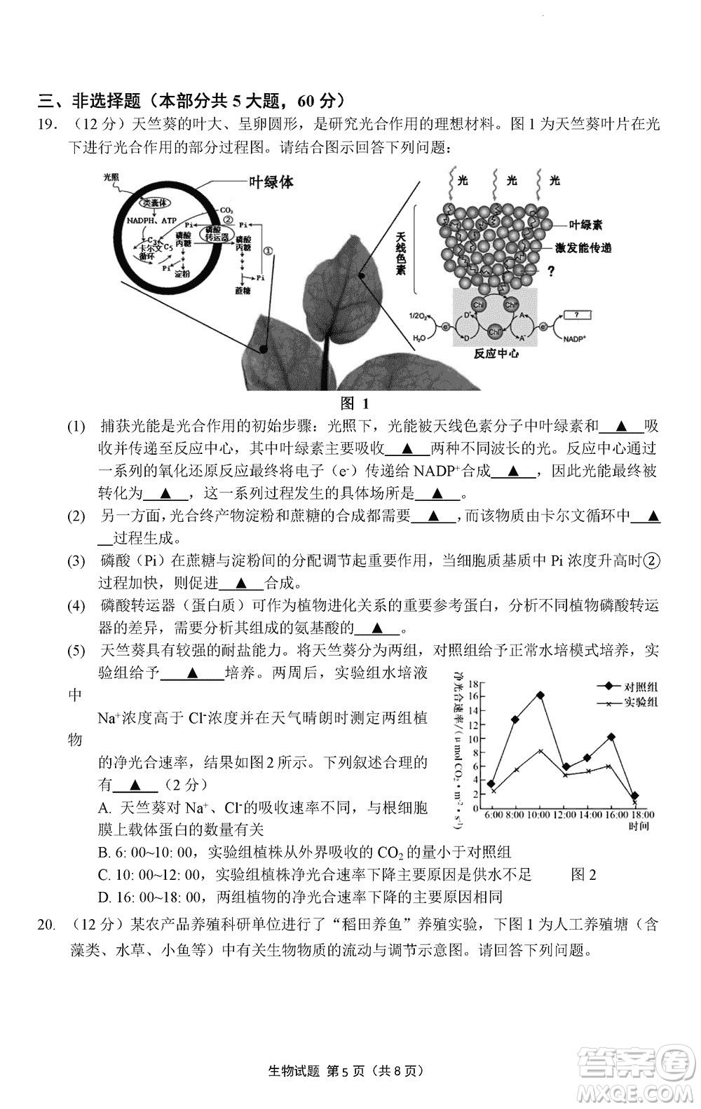 南京市六校聯(lián)合調(diào)研2023-2024學年高三上學期11月期中考試生物答案
