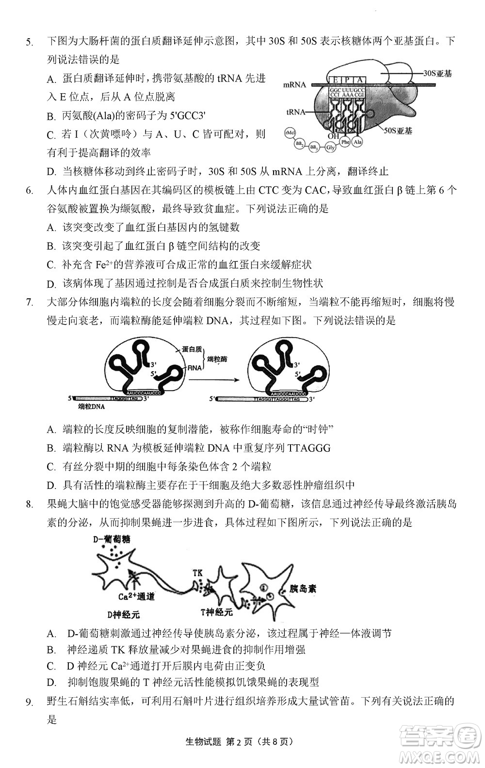 南京市六校聯(lián)合調(diào)研2023-2024學年高三上學期11月期中考試生物答案