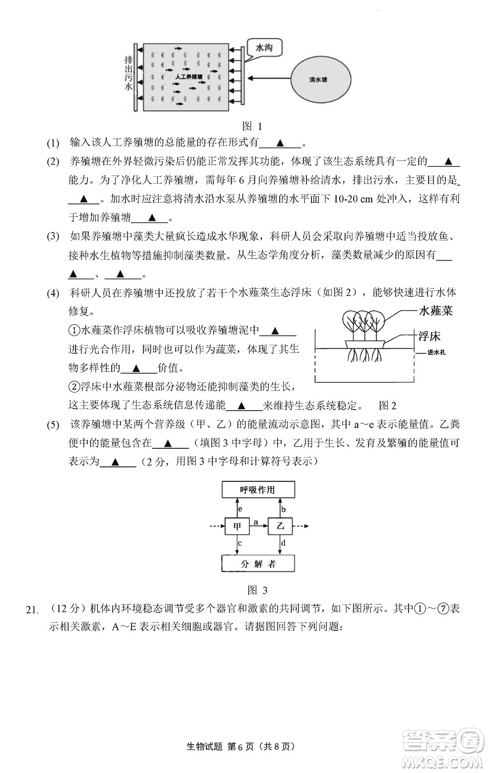 南京市六校聯(lián)合調(diào)研2023-2024學年高三上學期11月期中考試生物答案
