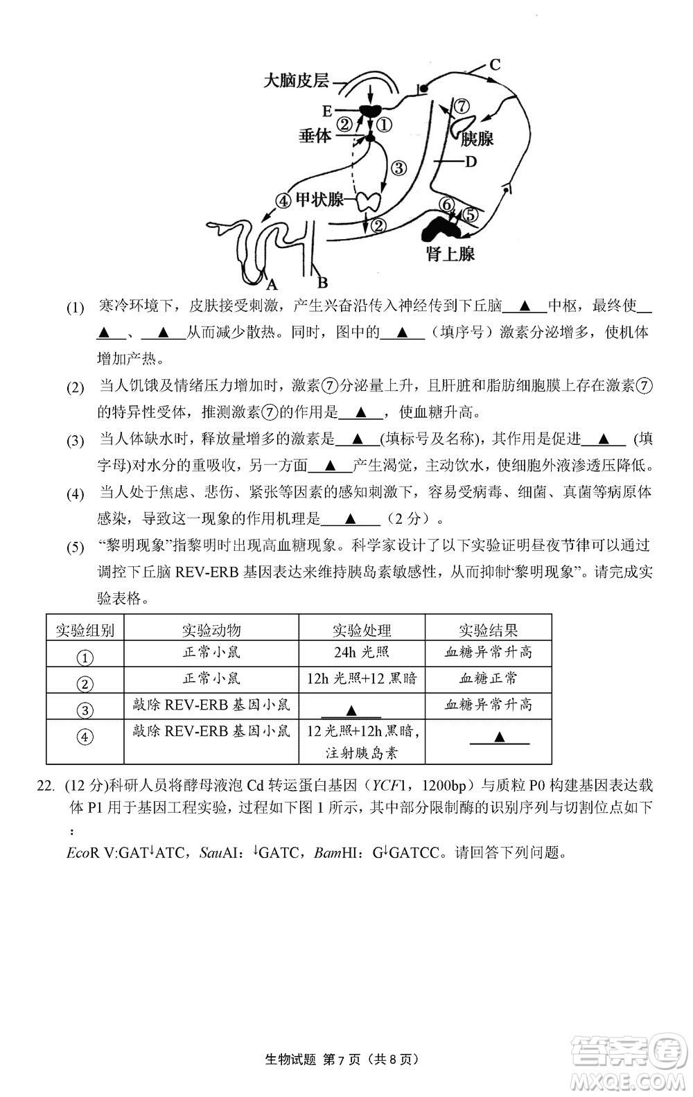 南京市六校聯(lián)合調(diào)研2023-2024學年高三上學期11月期中考試生物答案