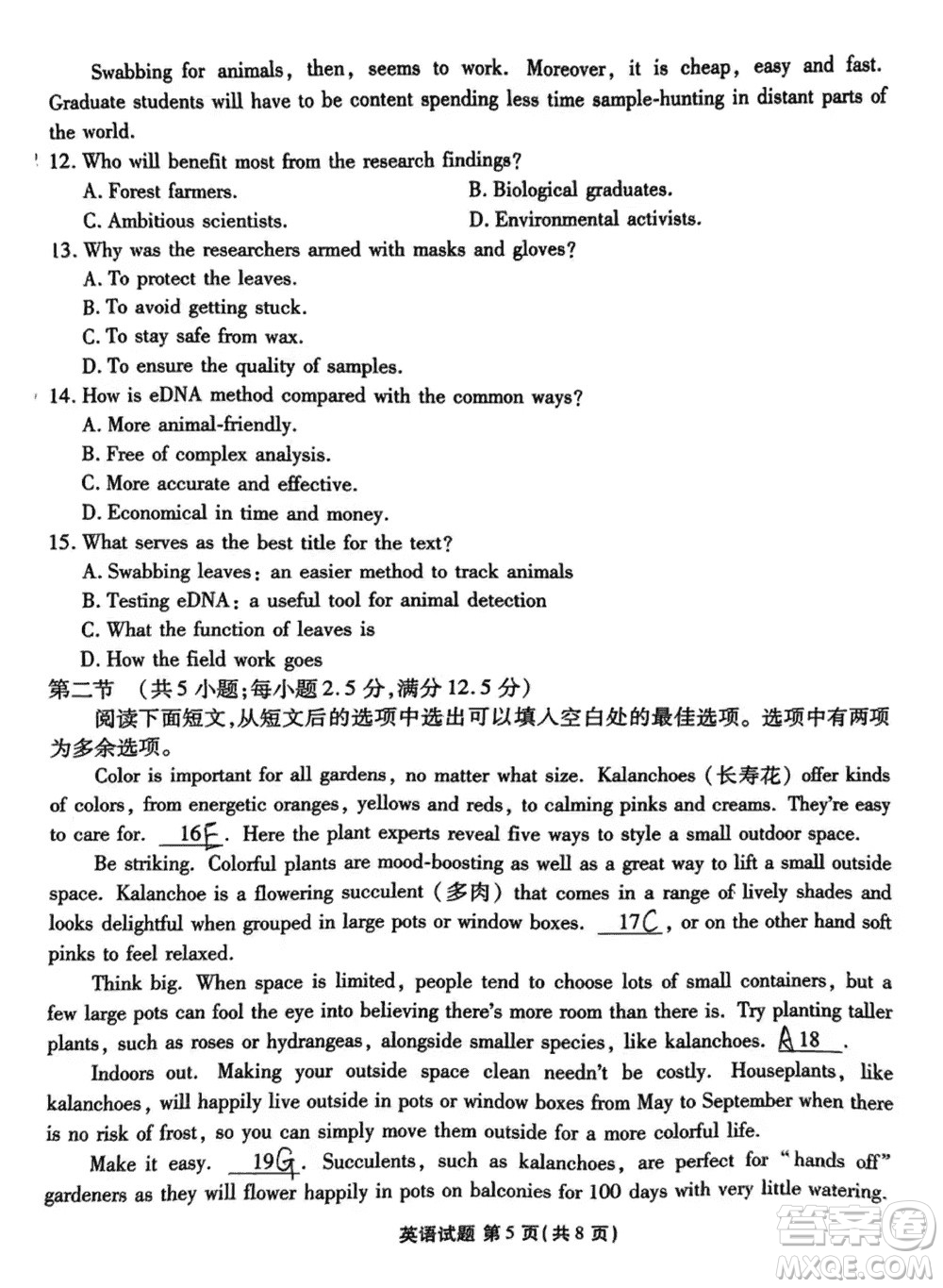 廣東衡水金卷2024屆高三上學期11月聯(lián)考英語參考答案