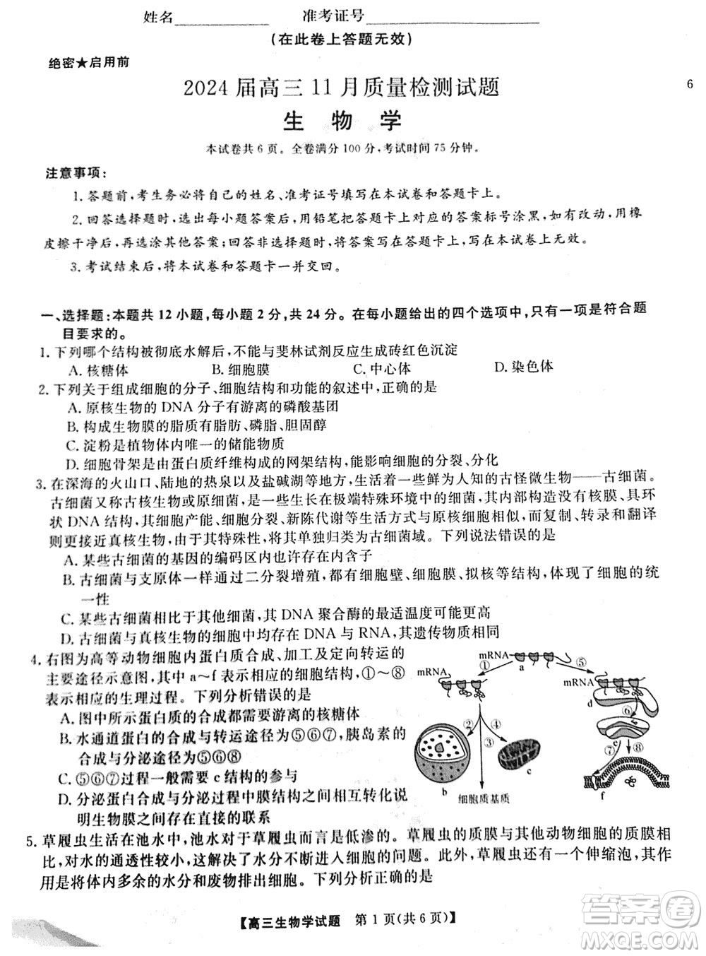 湖南天壹名校聯(lián)盟2024屆高三上學期11月質量檢測試題生物參考答案