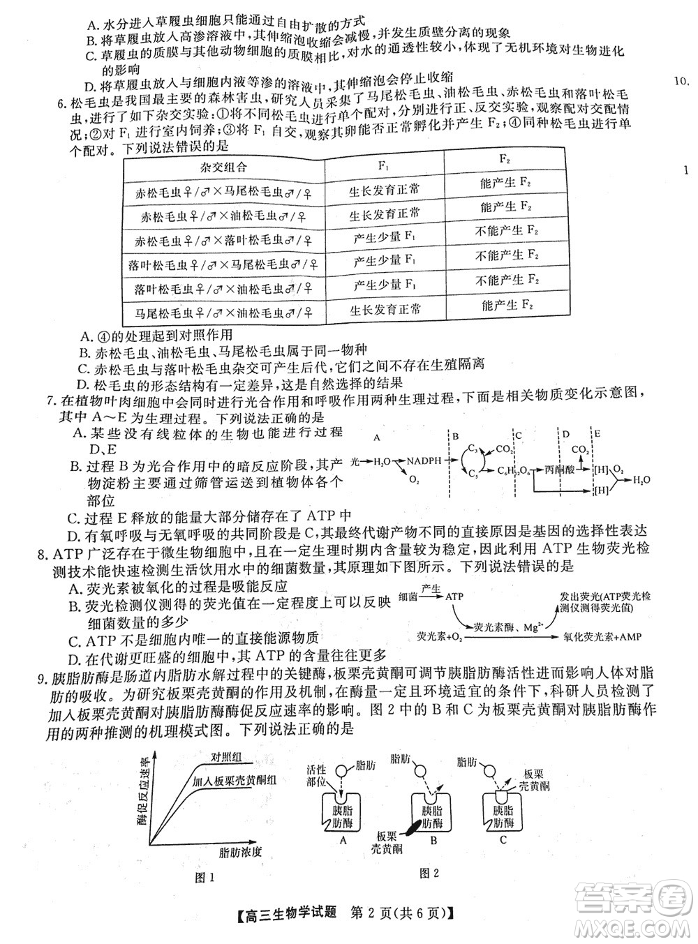 湖南天壹名校聯(lián)盟2024屆高三上學期11月質量檢測試題生物參考答案