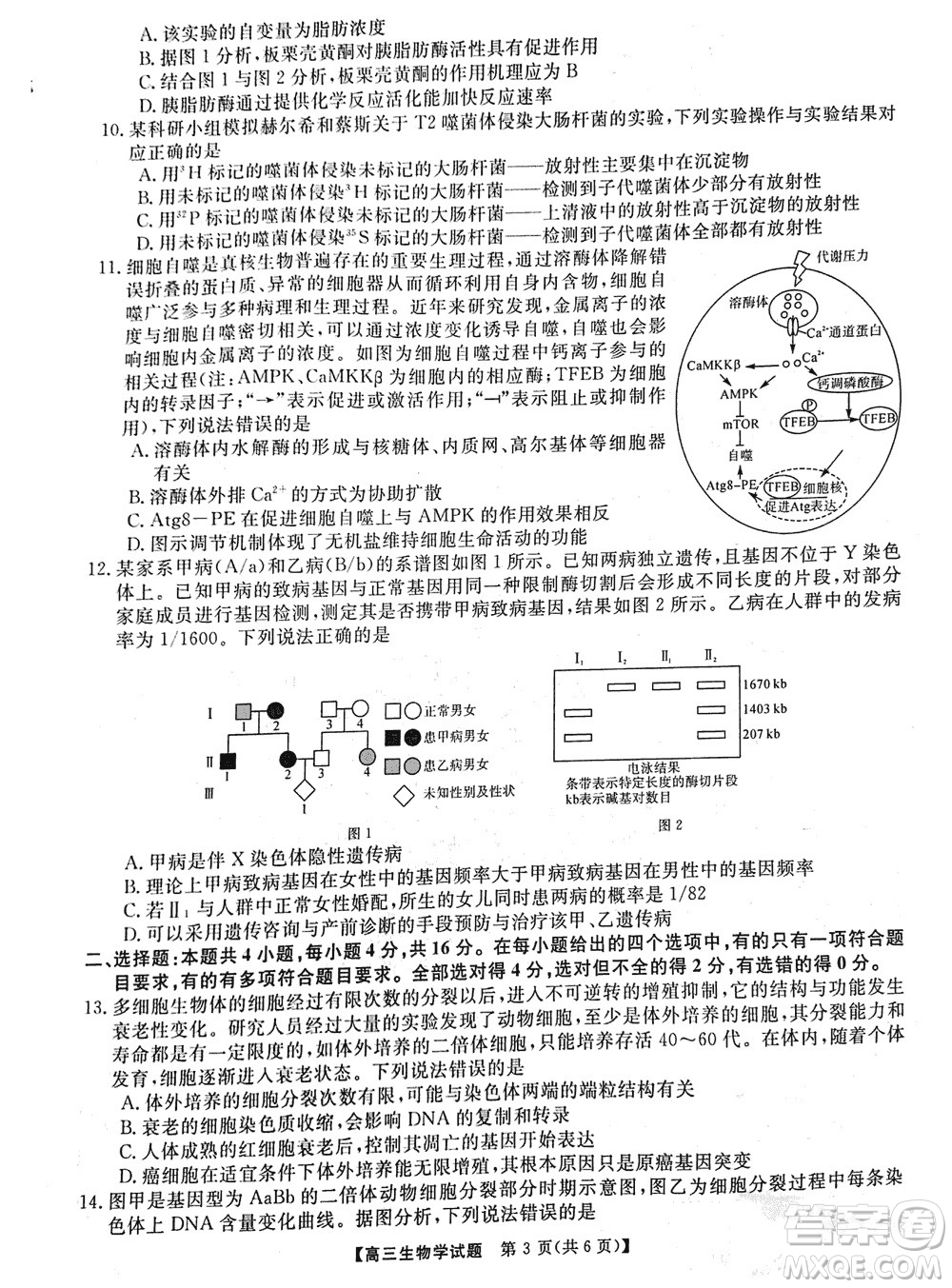 湖南天壹名校聯(lián)盟2024屆高三上學期11月質量檢測試題生物參考答案