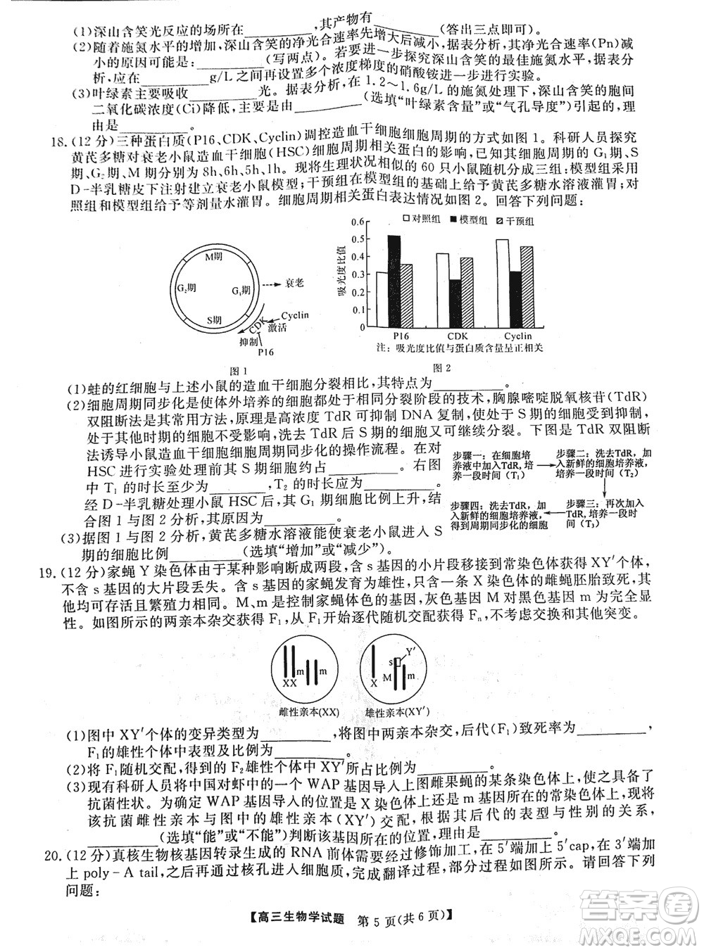 湖南天壹名校聯(lián)盟2024屆高三上學期11月質量檢測試題生物參考答案