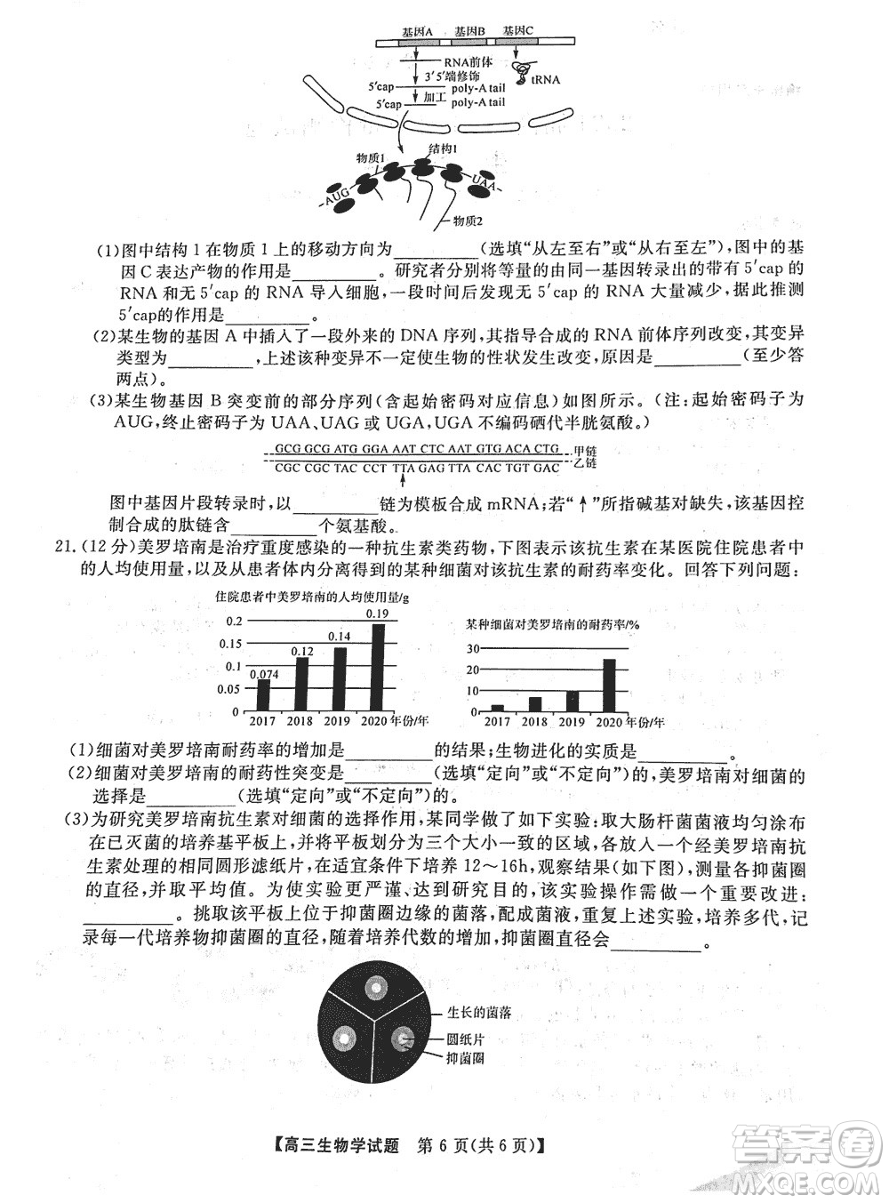 湖南天壹名校聯(lián)盟2024屆高三上學期11月質量檢測試題生物參考答案