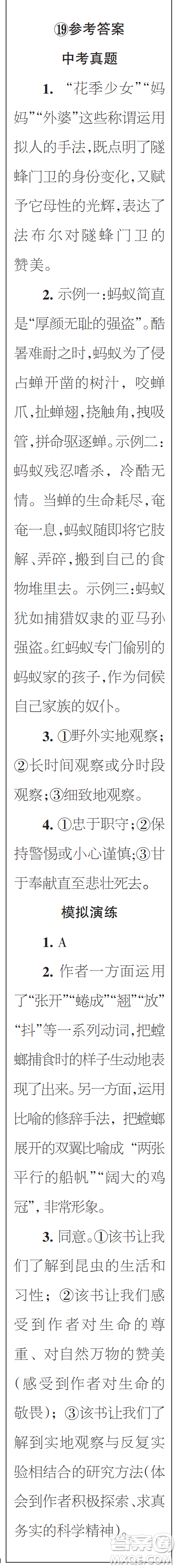 時代學(xué)習(xí)報初中版2023年秋八年級語文上冊17-20期參考答案