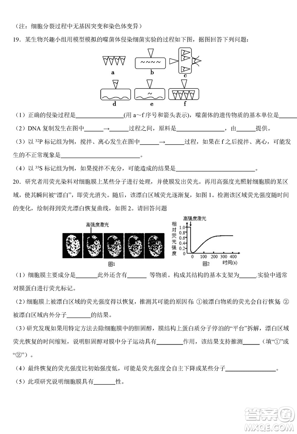重慶烏江新高考協(xié)作體2024屆高三上學期12月期中學業(yè)質(zhì)量聯(lián)合調(diào)研抽測生物答案