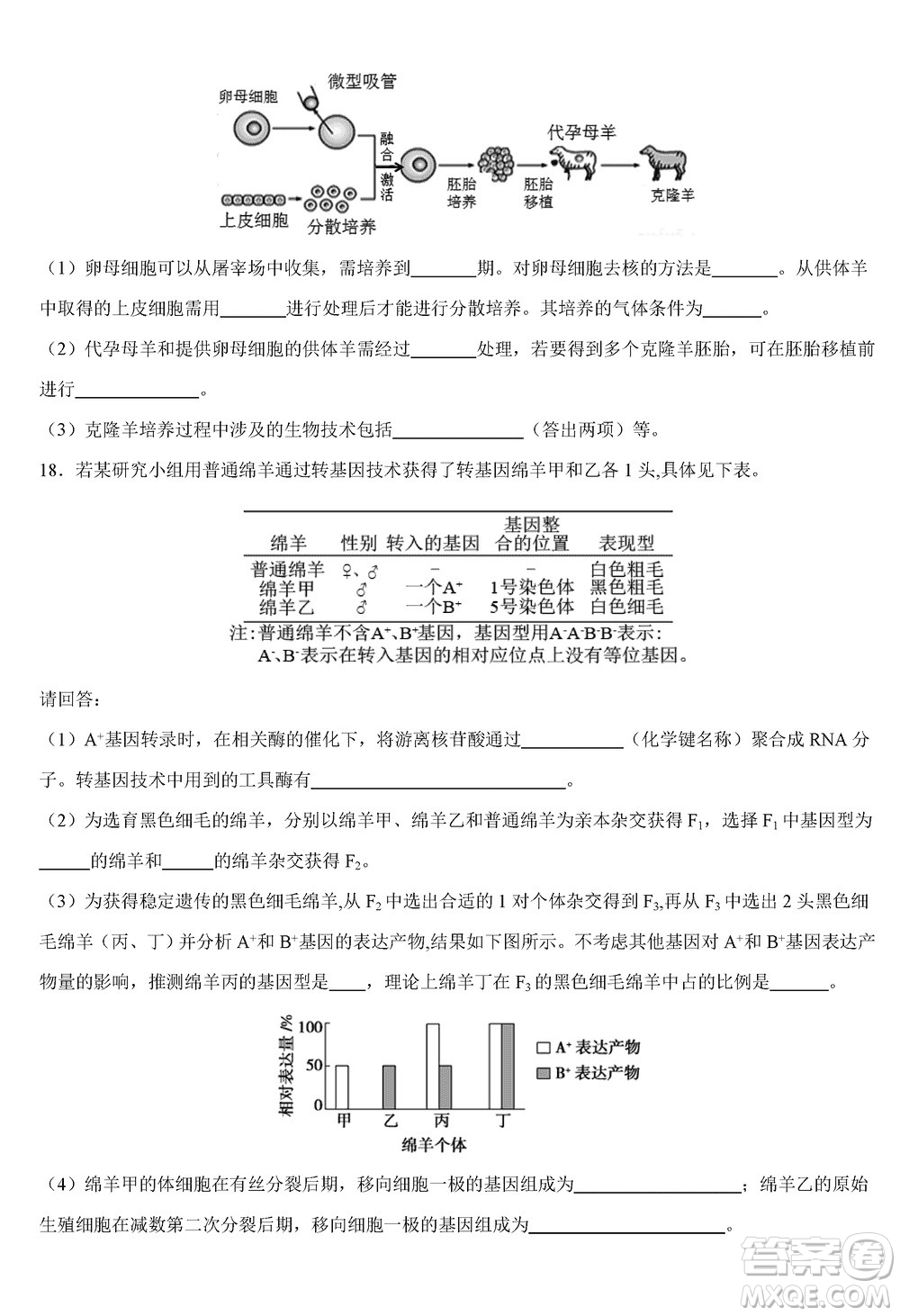 重慶烏江新高考協(xié)作體2024屆高三上學期12月期中學業(yè)質(zhì)量聯(lián)合調(diào)研抽測生物答案
