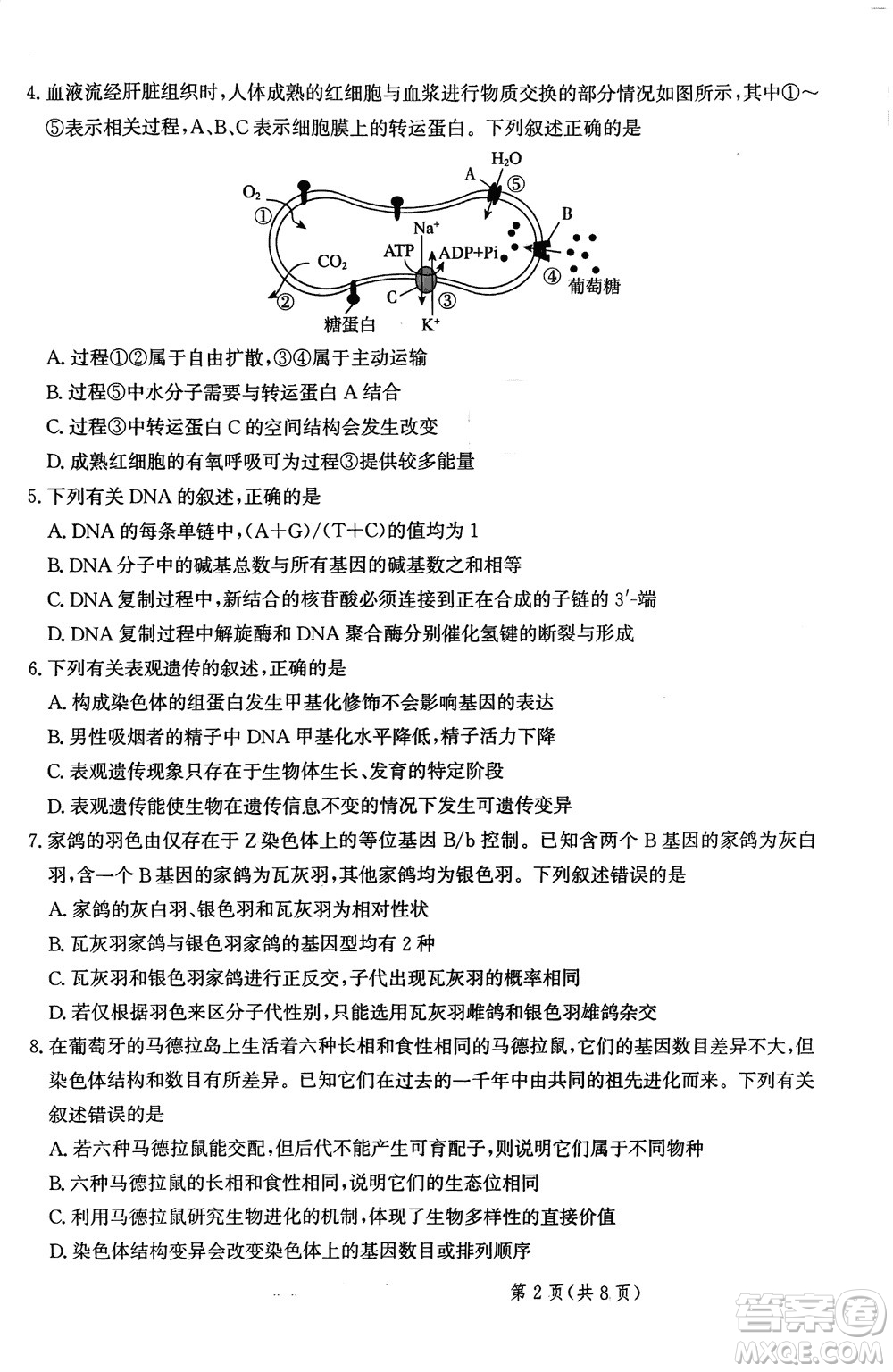 2024屆河北省部分重點高中高三上學期12月普通高考模擬試題生物參考答案