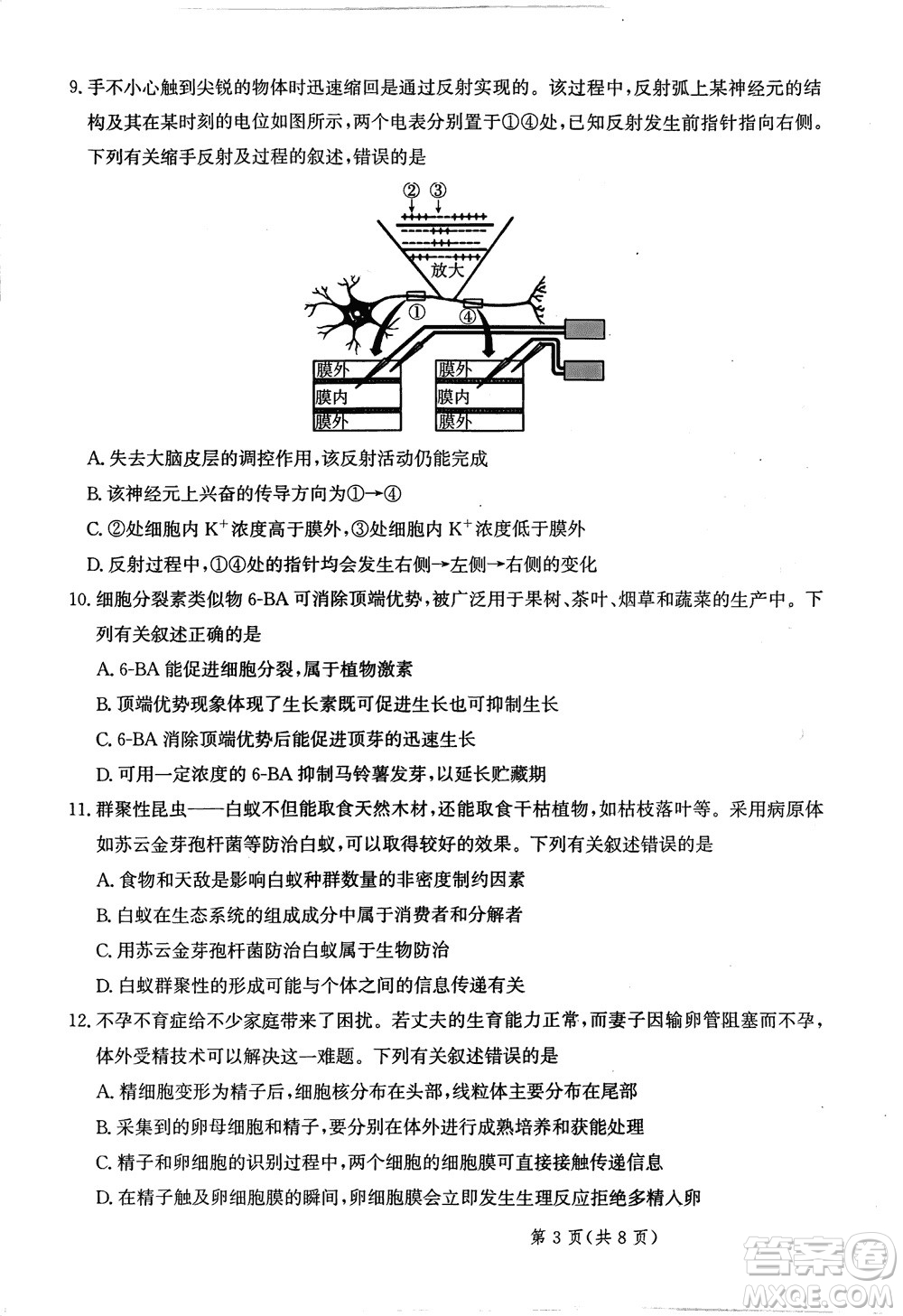 2024屆河北省部分重點高中高三上學期12月普通高考模擬試題生物參考答案