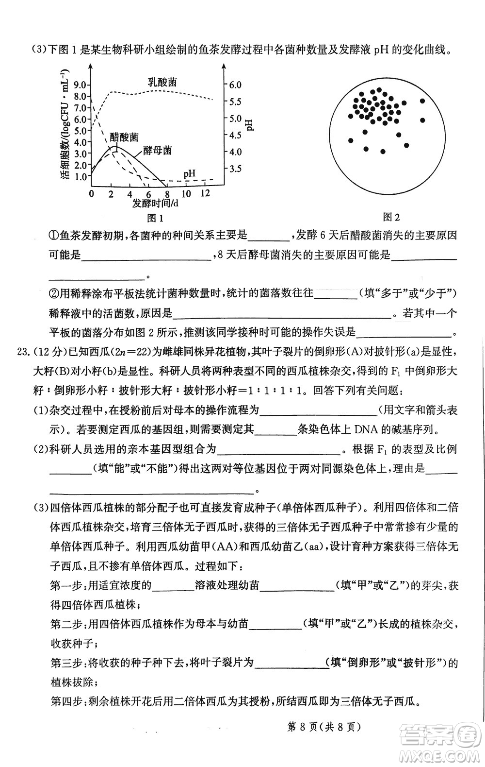 2024屆河北省部分重點高中高三上學期12月普通高考模擬試題生物參考答案