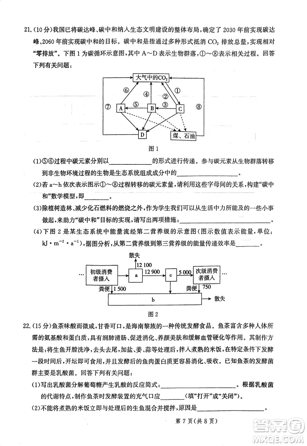 2024屆河北省部分重點高中高三上學期12月普通高考模擬試題生物參考答案