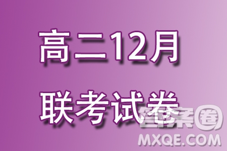 廣西貴百河2023-2024學(xué)年高二上學(xué)期12月新高考月考測試數(shù)學(xué)試題答案