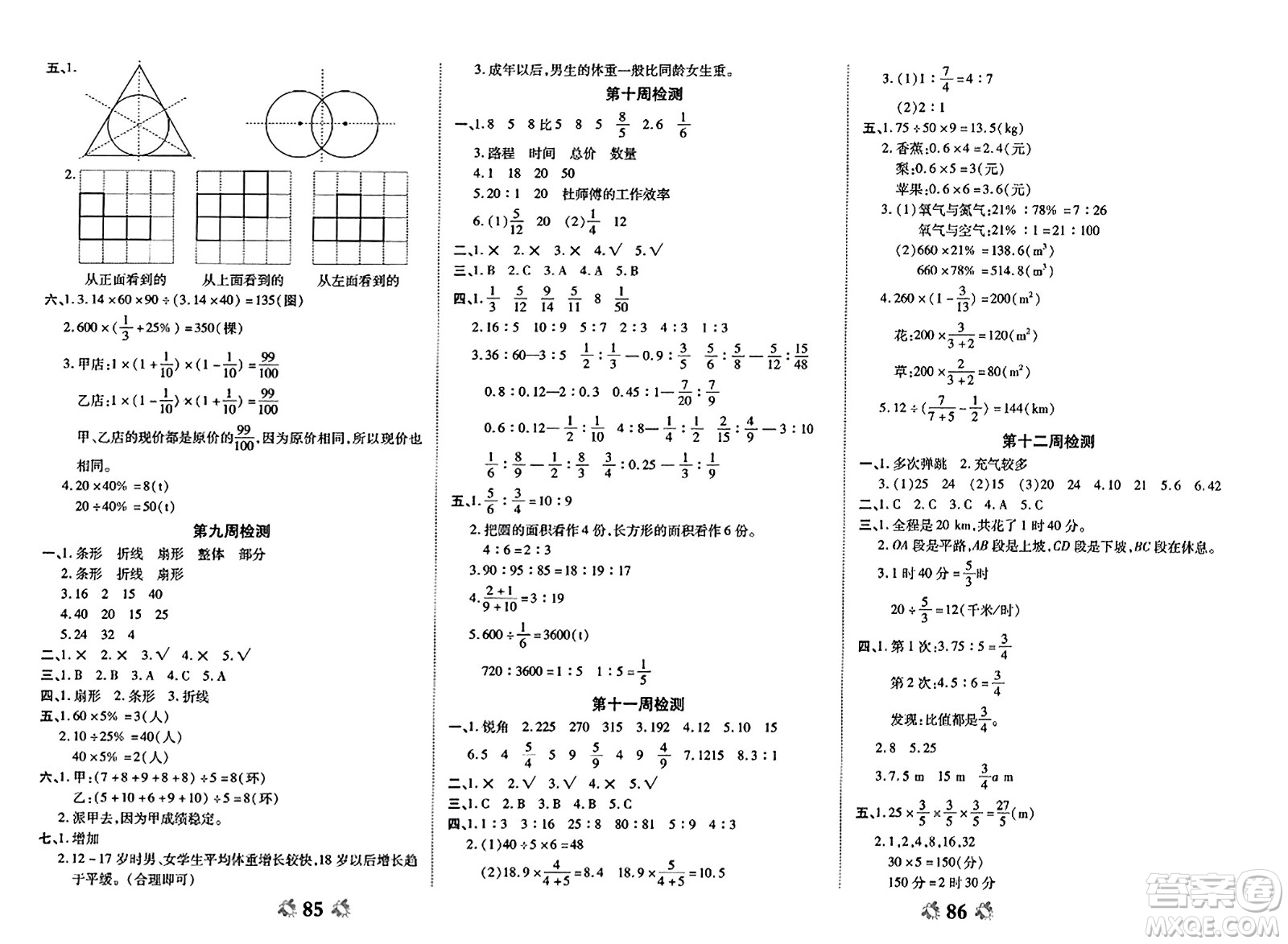 山東美術(shù)出版社2023年秋全能練考卷六年級(jí)數(shù)學(xué)上冊(cè)北師大版答案