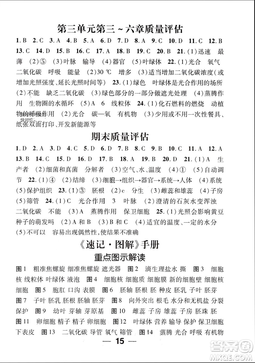 江西教育出版社2023年秋精英新課堂三點分層作業(yè)七年級生物上冊人教版參考答案