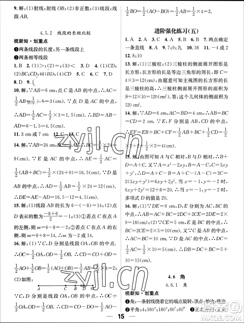 江西教育出版社2023年秋精英新課堂三點(diǎn)分層作業(yè)七年級(jí)數(shù)學(xué)上冊(cè)華師版參考答案