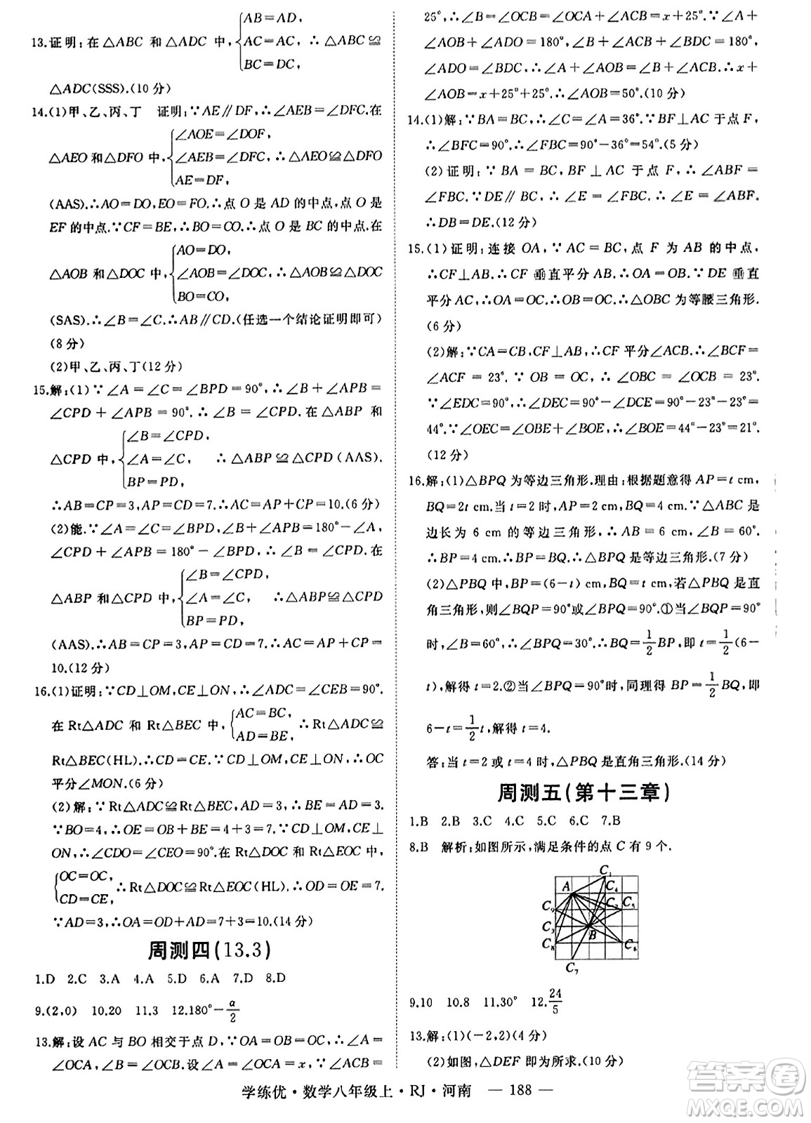 武漢出版社2023年秋學(xué)練優(yōu)八年級(jí)數(shù)學(xué)上冊(cè)人教版河南專版答案