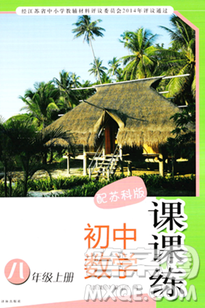譯林出版社2023年秋課課練初中數(shù)學(xué)八年級數(shù)學(xué)上冊蘇科版答案