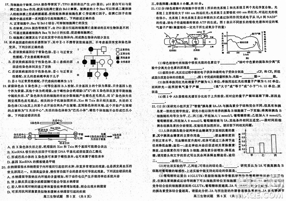 山東名?？荚嚶?lián)盟2023年12月高三年級階段性檢測生物試題參考答案