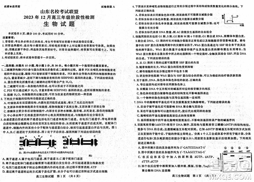山東名校考試聯(lián)盟2023年12月高三年級階段性檢測生物試題參考答案