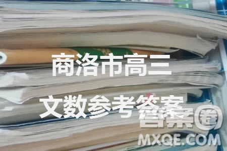 商洛市2024屆高三上學(xué)期第一次模擬檢測(cè)文科數(shù)學(xué)試卷參考答案