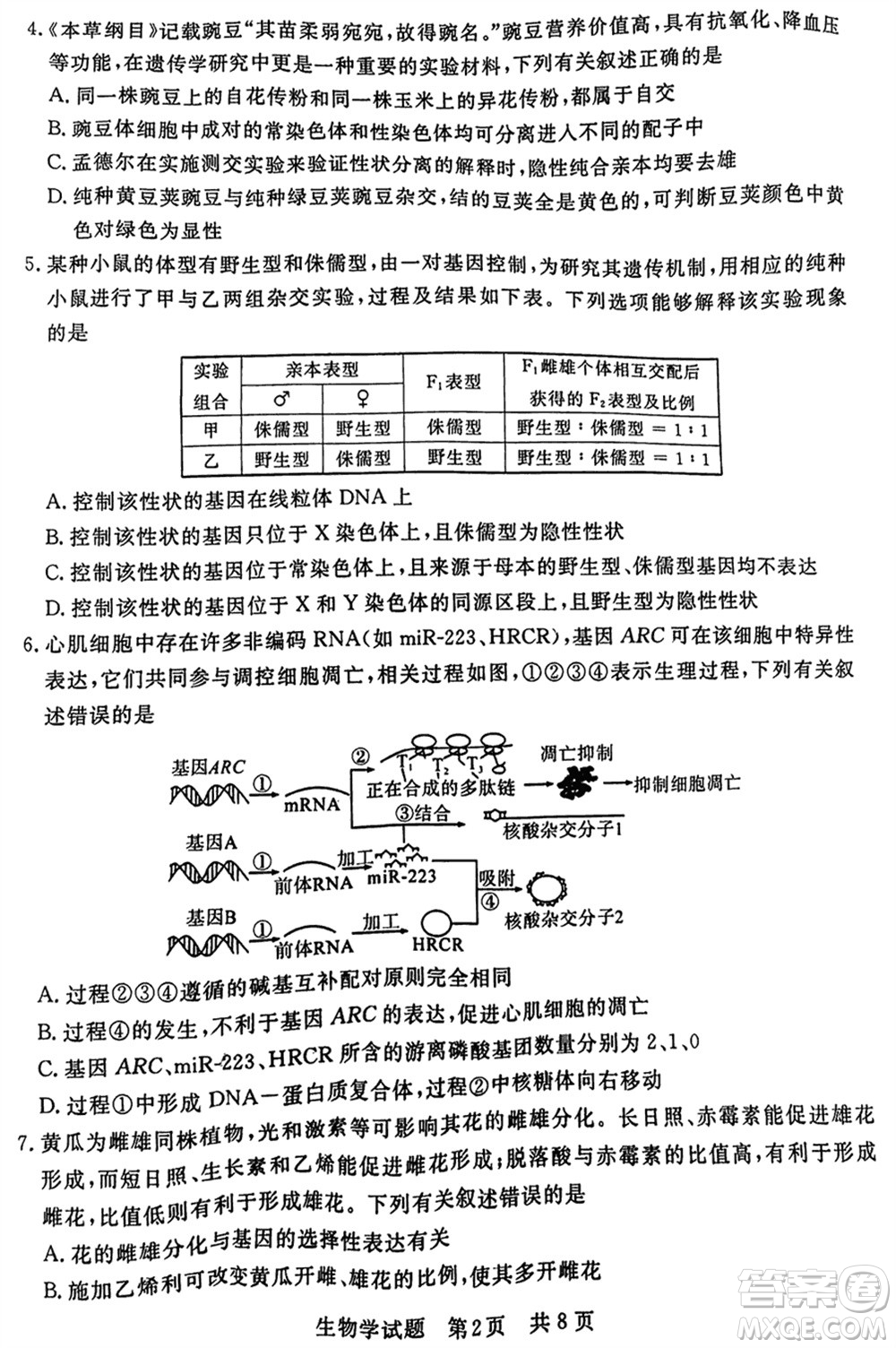 T8聯(lián)考2024屆高三上學(xué)期第一次學(xué)業(yè)質(zhì)量評價生物參考答案