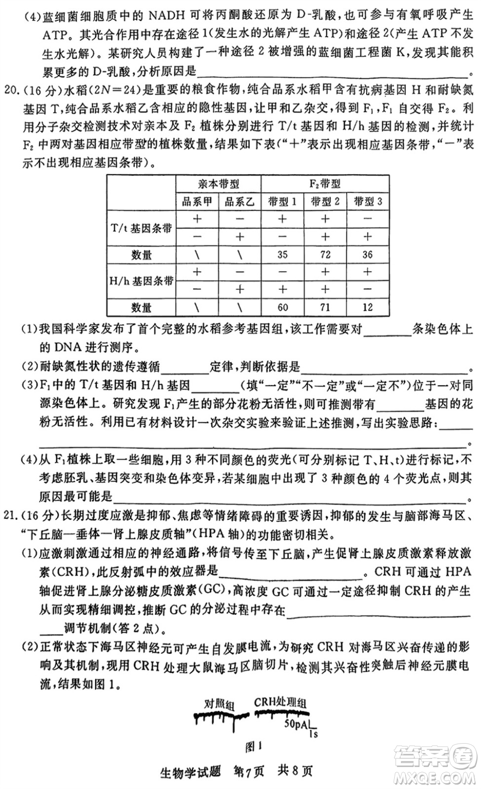 T8聯(lián)考2024屆高三上學(xué)期第一次學(xué)業(yè)質(zhì)量評價生物參考答案