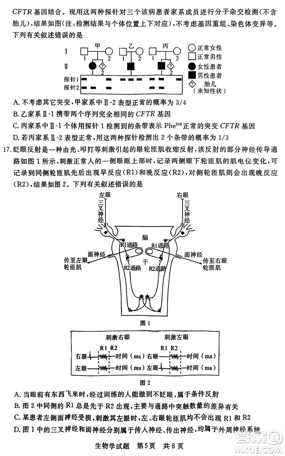 T8聯(lián)考2024屆高三上學(xué)期第一次學(xué)業(yè)質(zhì)量評價生物參考答案