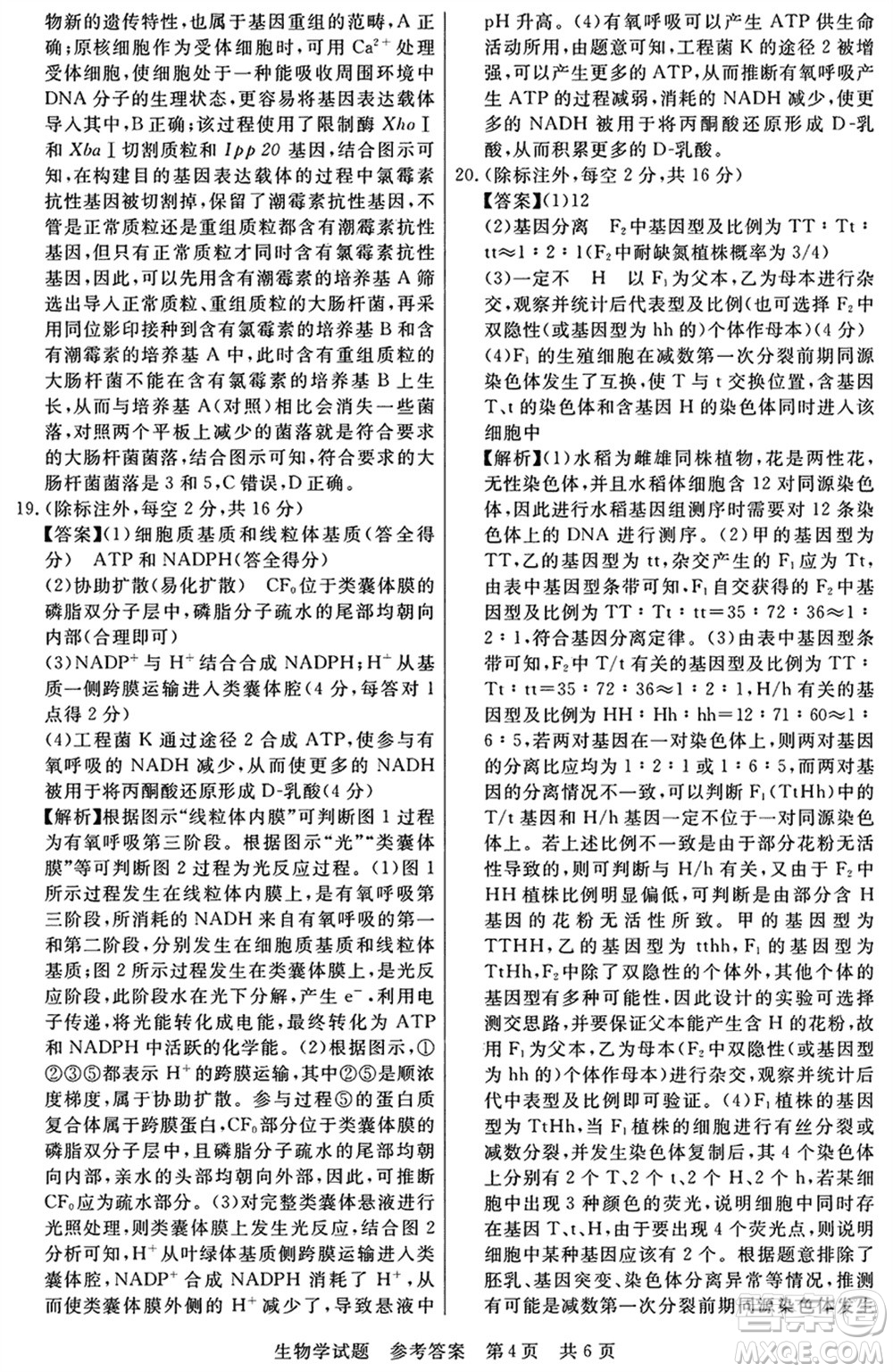 T8聯(lián)考2024屆高三上學(xué)期第一次學(xué)業(yè)質(zhì)量評價生物參考答案