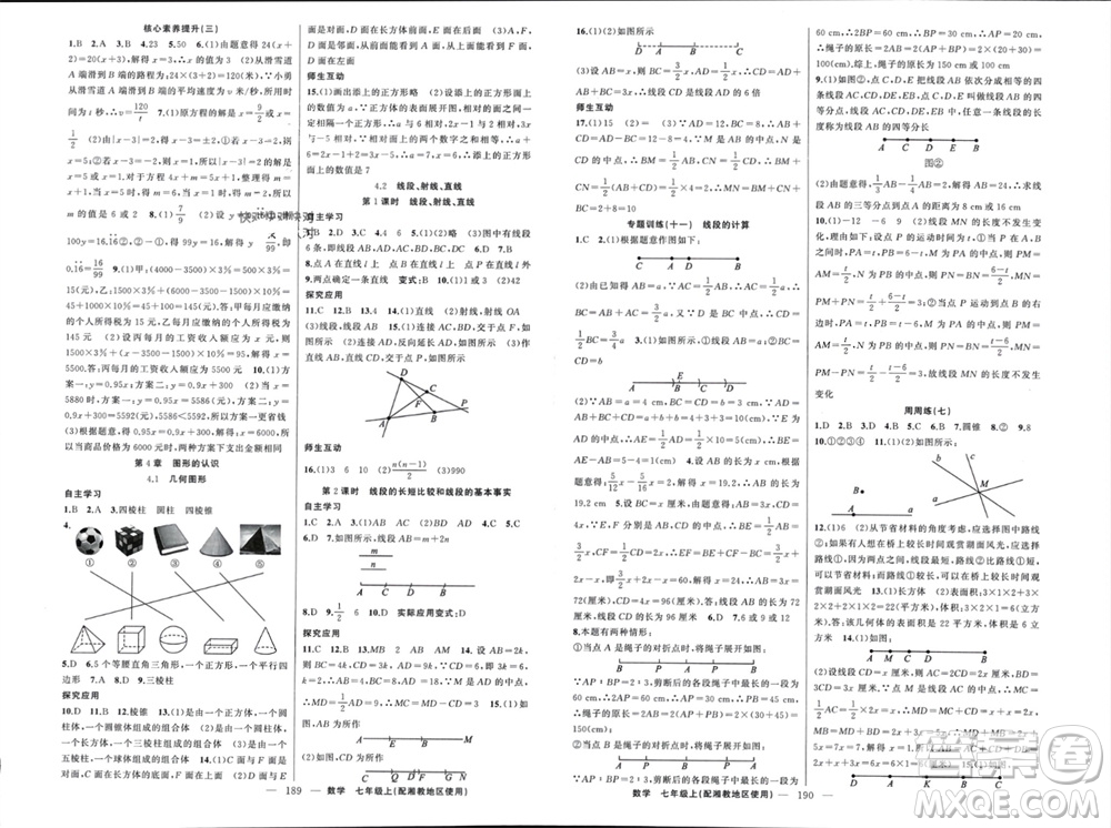新疆青少年出版社2023年秋原創(chuàng)新課堂七年級數學上冊湘教版參考答案