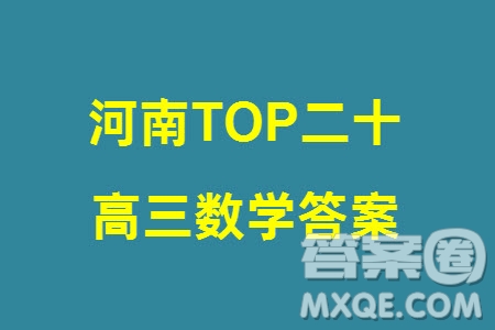 河南2024屆高三上學(xué)期TOP二十名校調(diào)研考試九數(shù)學(xué)參考答案