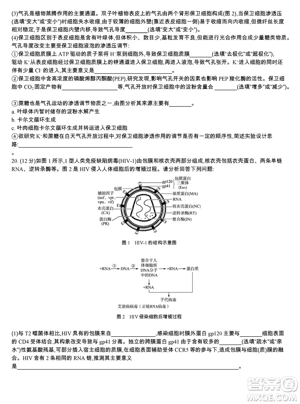 江蘇省2023-2024學(xué)年高三上學(xué)期期末迎考卷生物參考答案