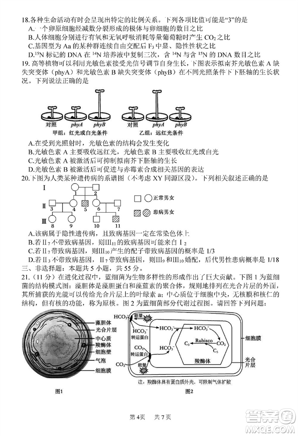 哈三中2023-2024學年高三上學期期末考試生物參考答案