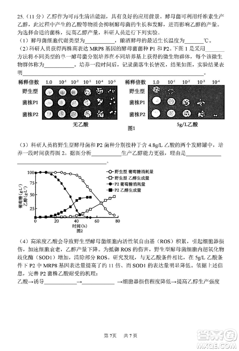 哈三中2023-2024學年高三上學期期末考試生物參考答案