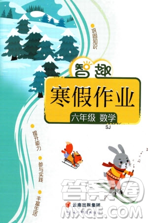 云南科技出版社2024智趣寒假作業(yè)六年級數(shù)學(xué)蘇教版參考答案