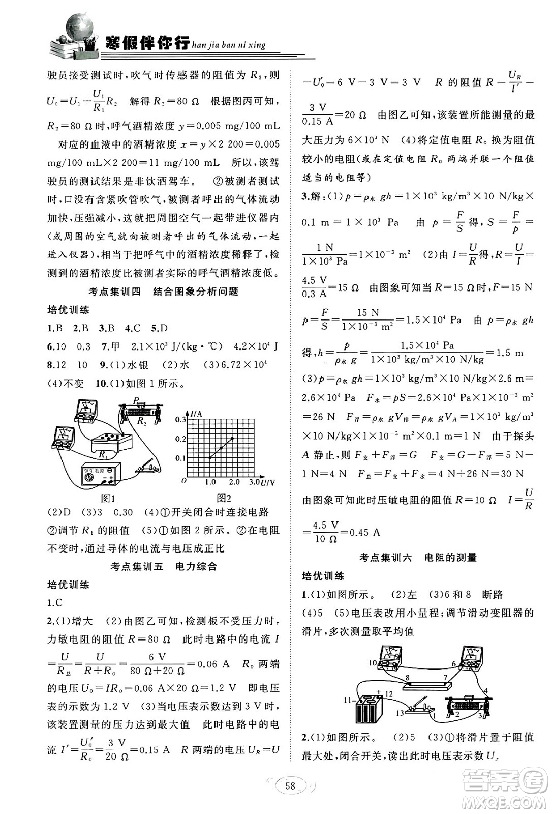 合肥工業(yè)大學(xué)出版社2024假期伴你行寒假?gòu)?fù)習(xí)計(jì)劃九年級(jí)物理人教版答案