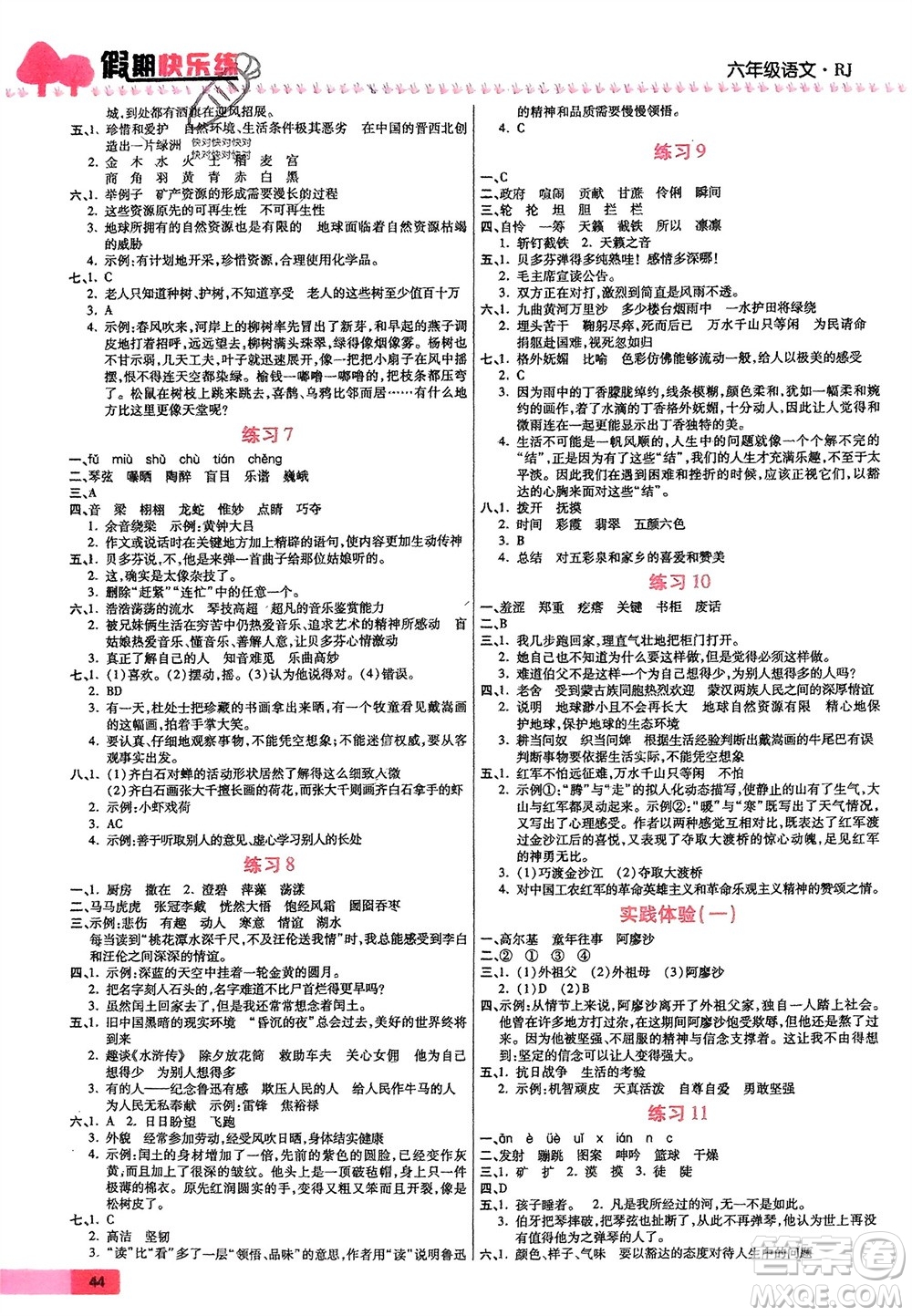 天津科學(xué)技術(shù)出版社2024假期快樂練語文寒假作業(yè)六年級人教版參考答案