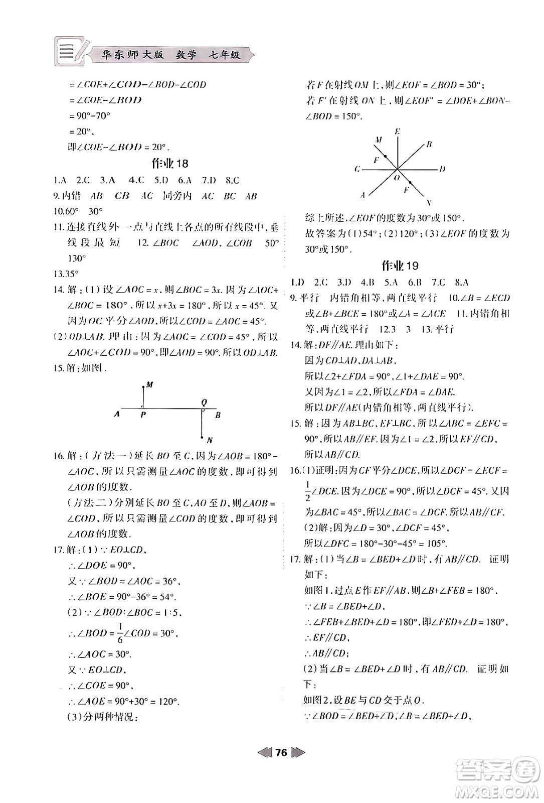 蘭州大學(xué)出版社2024寒假作業(yè)七年級數(shù)學(xué)華東師大版答案