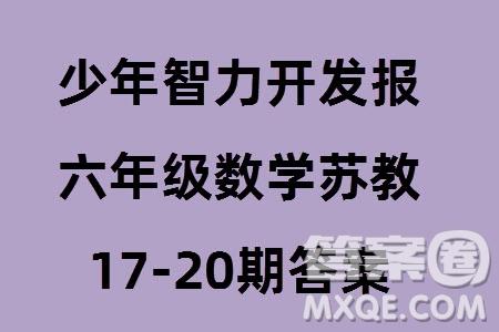 2023年秋少年智力開(kāi)發(fā)報(bào)六年級(jí)數(shù)學(xué)上冊(cè)蘇教版第17-20期答案