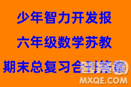 2023年秋少年智力開發(fā)報(bào)六年級(jí)數(shù)學(xué)上冊(cè)蘇教版期末總復(fù)習(xí)合刊參考答案