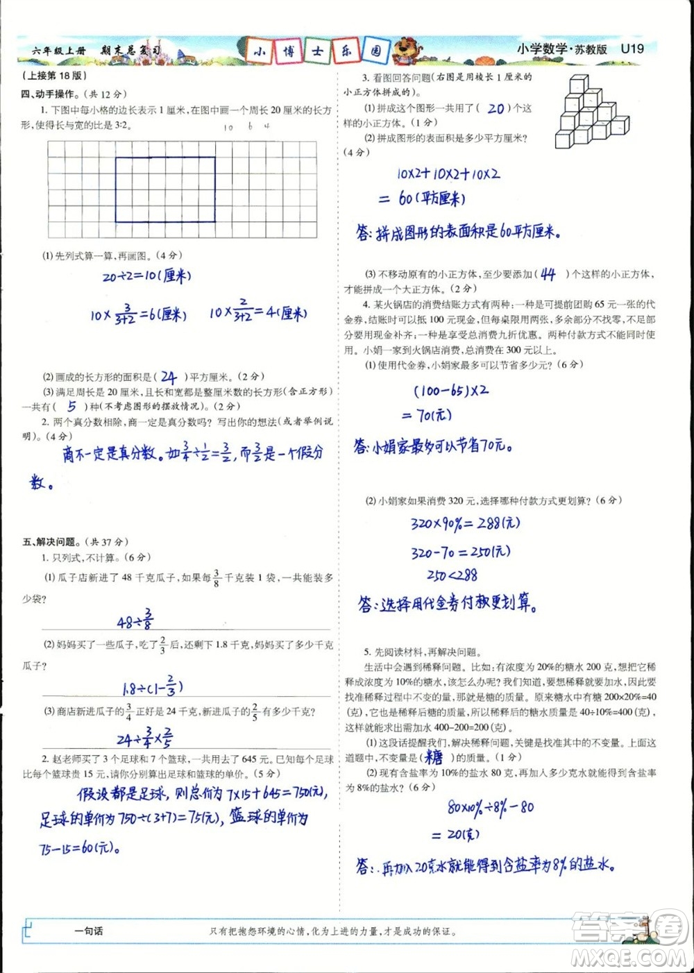 2023年秋少年智力開發(fā)報(bào)六年級(jí)數(shù)學(xué)上冊(cè)蘇教版期末總復(fù)習(xí)合刊參考答案