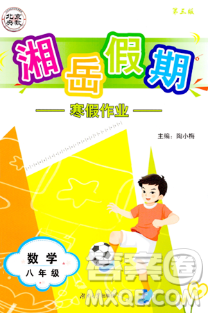 湖南大學(xué)出版社2024北京央教湘岳假期寒假作業(yè)八年級(jí)數(shù)學(xué)人教版答案