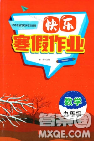 河北美術(shù)出版社2024快樂寒假作業(yè)九年級數(shù)學(xué)通用版參考答案