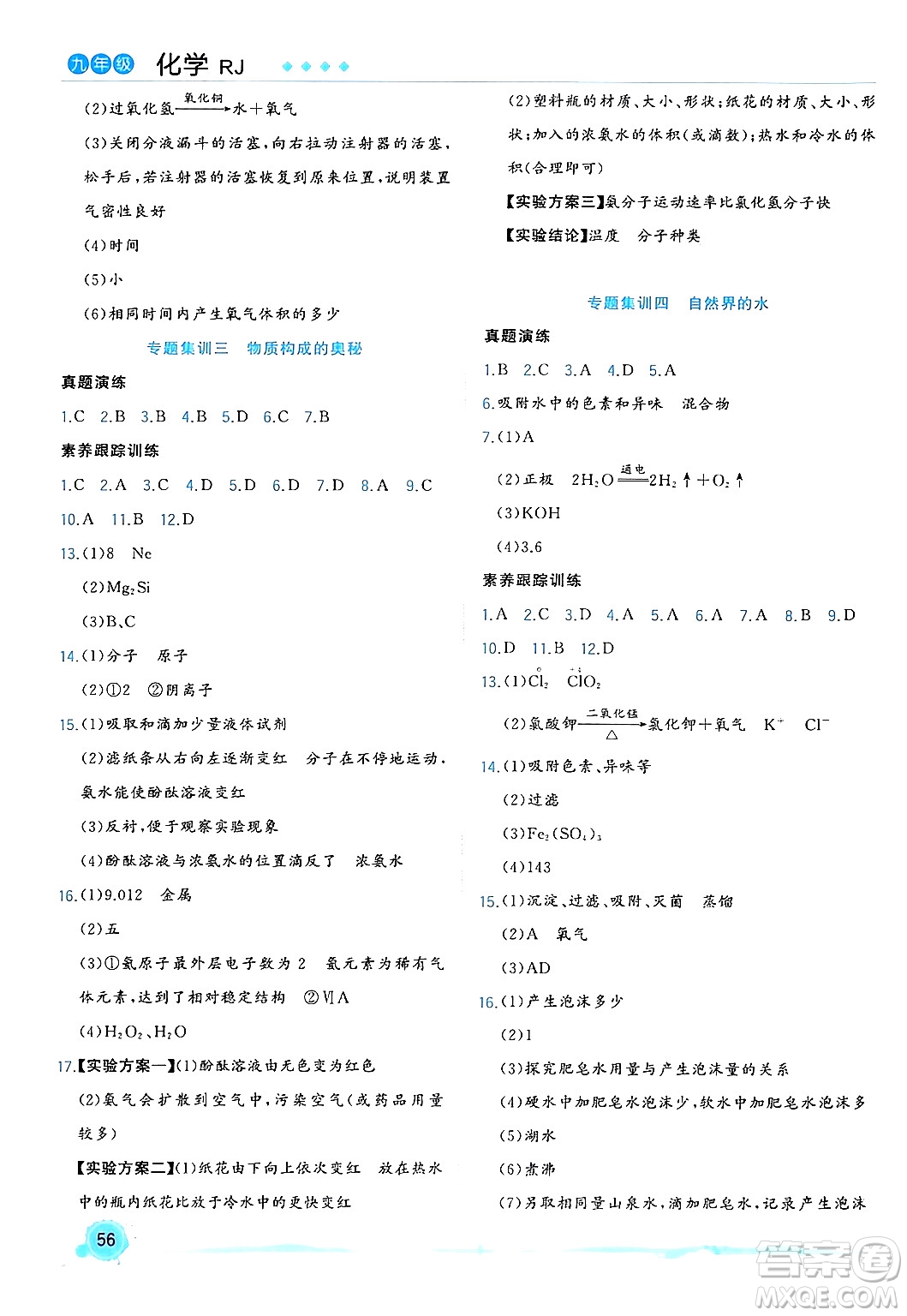 合肥工業(yè)大學(xué)出版社2024寒假總動(dòng)員九年級(jí)化學(xué)人教版答案