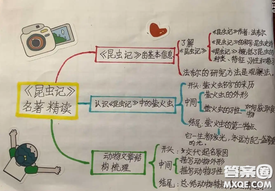 昆蟲記思維導(dǎo)圖知識(shí)點(diǎn)整理 關(guān)于昆蟲記的思維導(dǎo)圖知識(shí)點(diǎn)整理