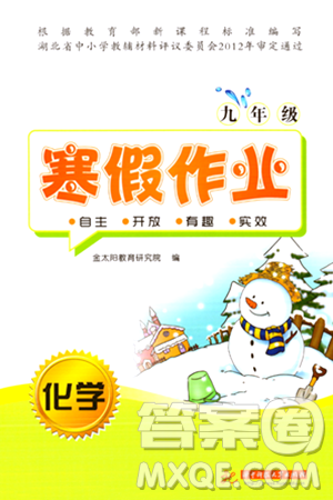 華中科技大學(xué)出版社2024寒假作業(yè)九年級(jí)化學(xué)課標(biāo)版答案