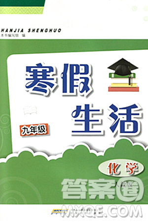 安徽教育出版社2024寒假生活九年級化學(xué)人教版答案