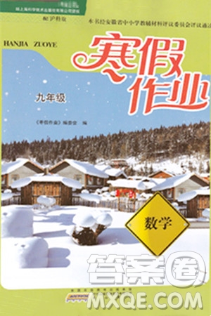 黃山書社2024寒假作業(yè)九年級數(shù)學滬科版答案