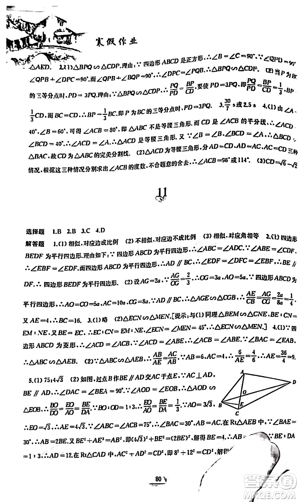 黃山書社2024寒假作業(yè)九年級數(shù)學滬科版答案